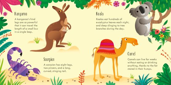 Usborne Animal Matching Games and Book