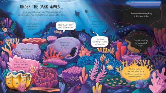 Usborne Look Inside Night Time