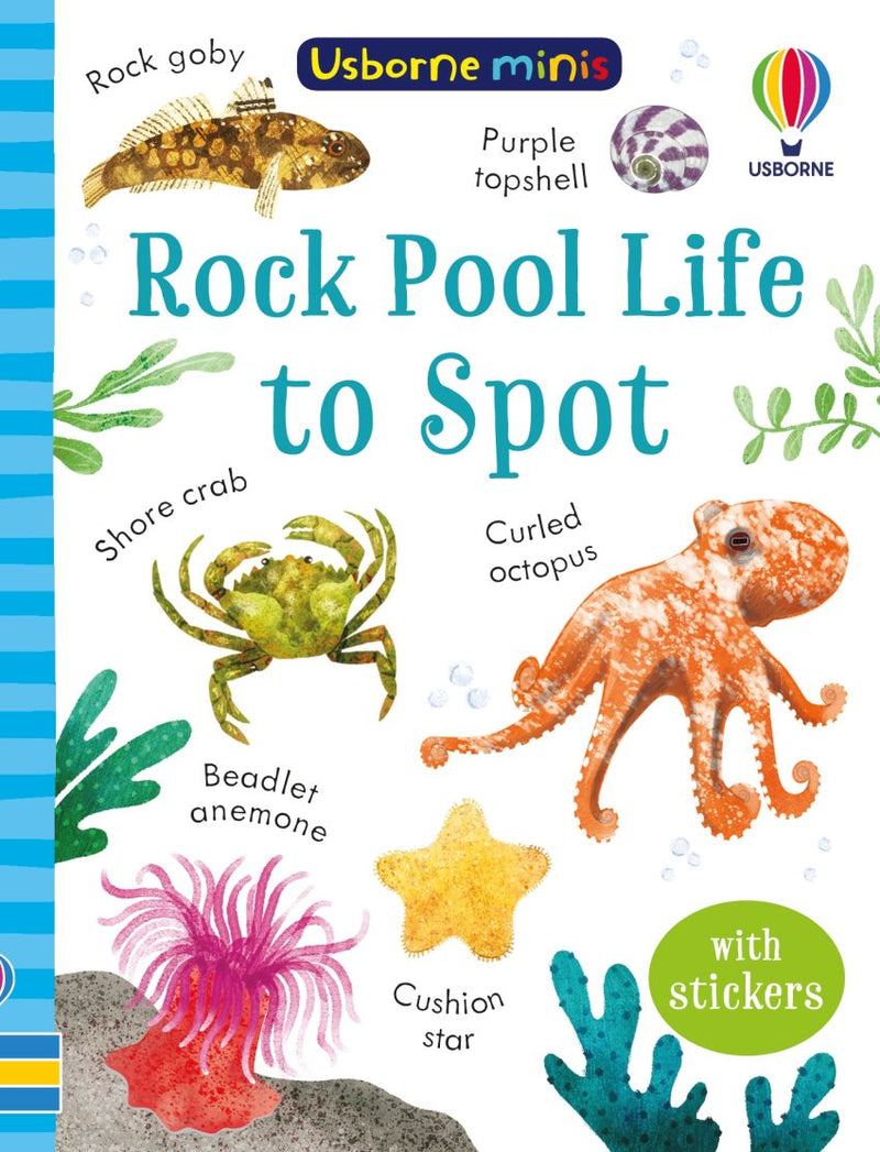Usborne Minis - Rock Pool Life to Spot