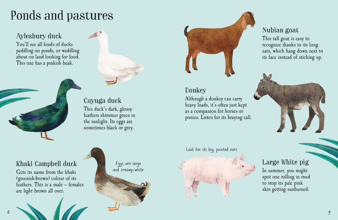 Usborne Minis - Farm Animals to Spot