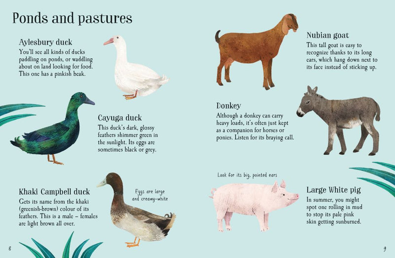 Usborne Minis - Farm Animals to Spot