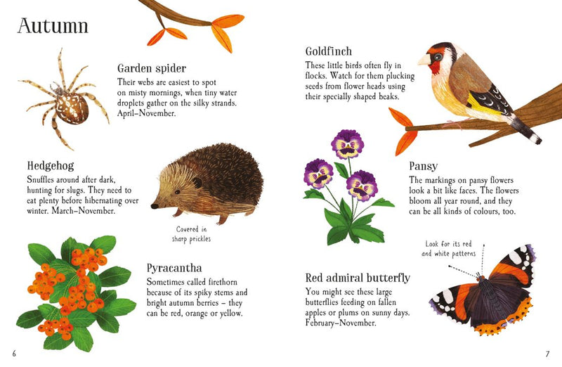 Usborne Minis - Garden Life to Spot