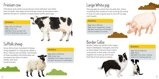 Usborne Book and Jigsaw - Farm