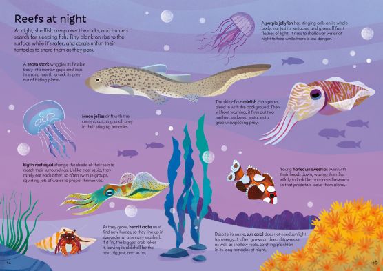 Usborne Book and Jigsaw - Coral Reef