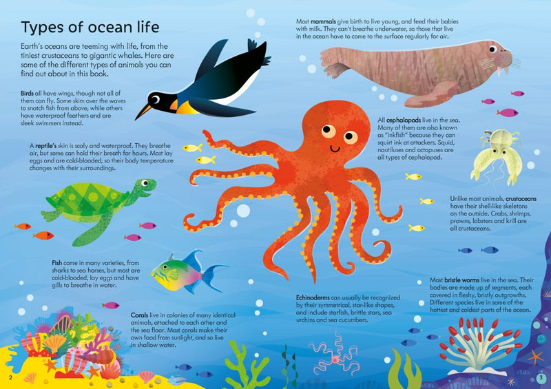 Usborne Book and Jigsaw - Oceans