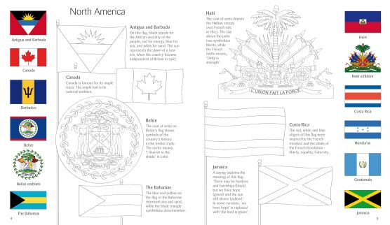 Usborne Book and Jigsaw - Flags of the World