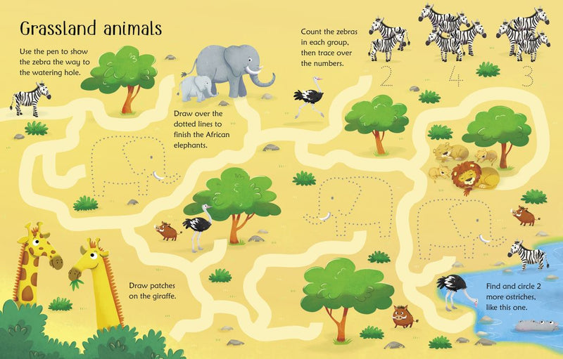 Usborne Wipe-Clean: Animal Activities