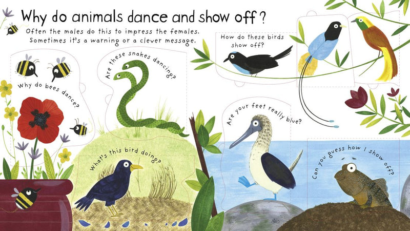 Usborne Lift-the-Flap First Questions and Answers: How Do Animals Talk?
