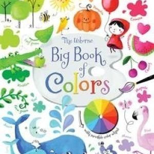 Usborne Big Book of Colors