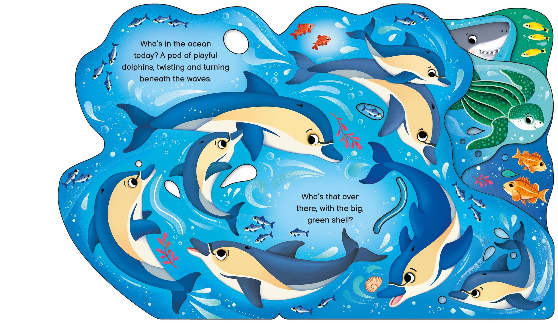 Usborne Who's in the Ocean Today?