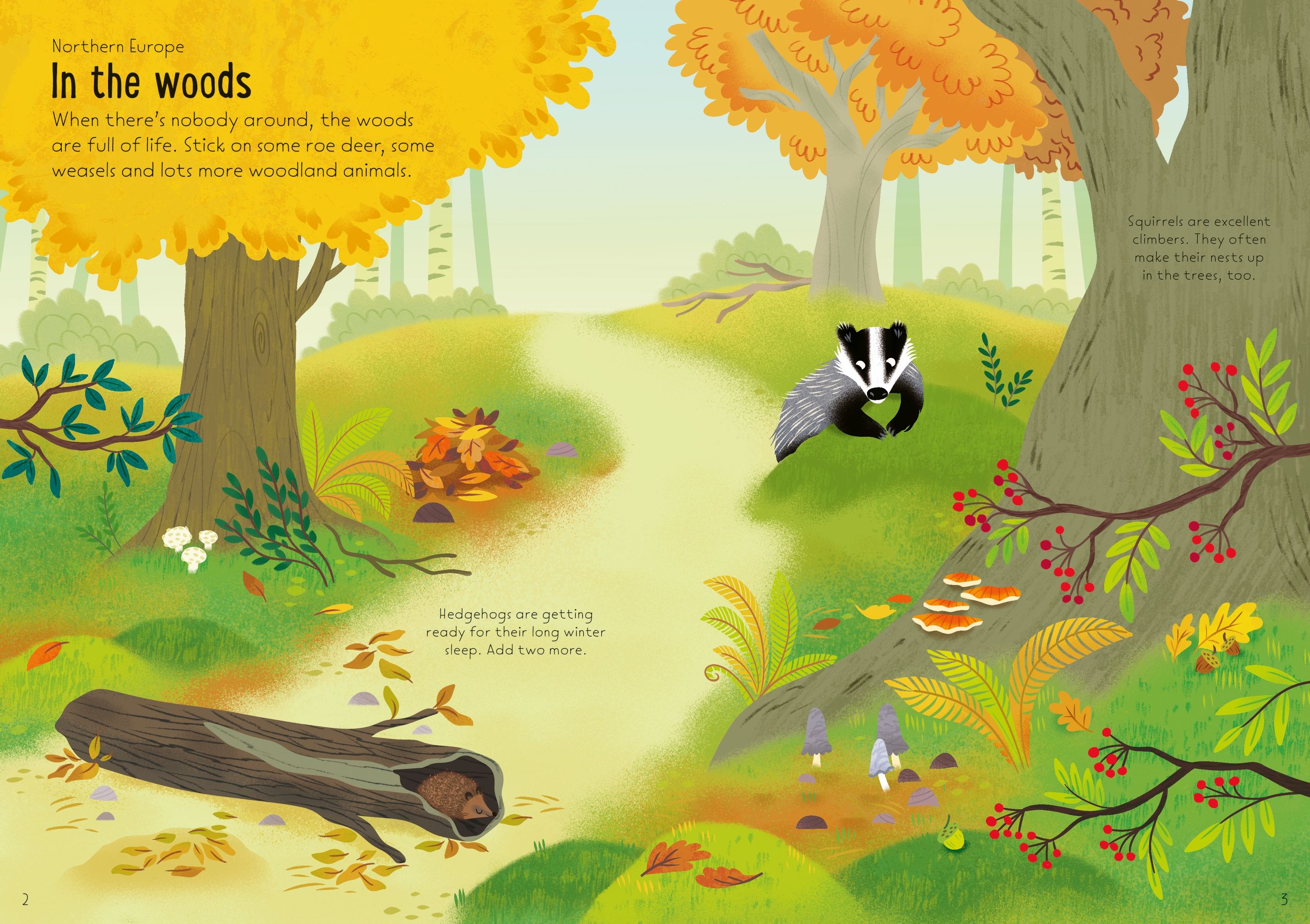 Usborne Little First Stickers - Nature