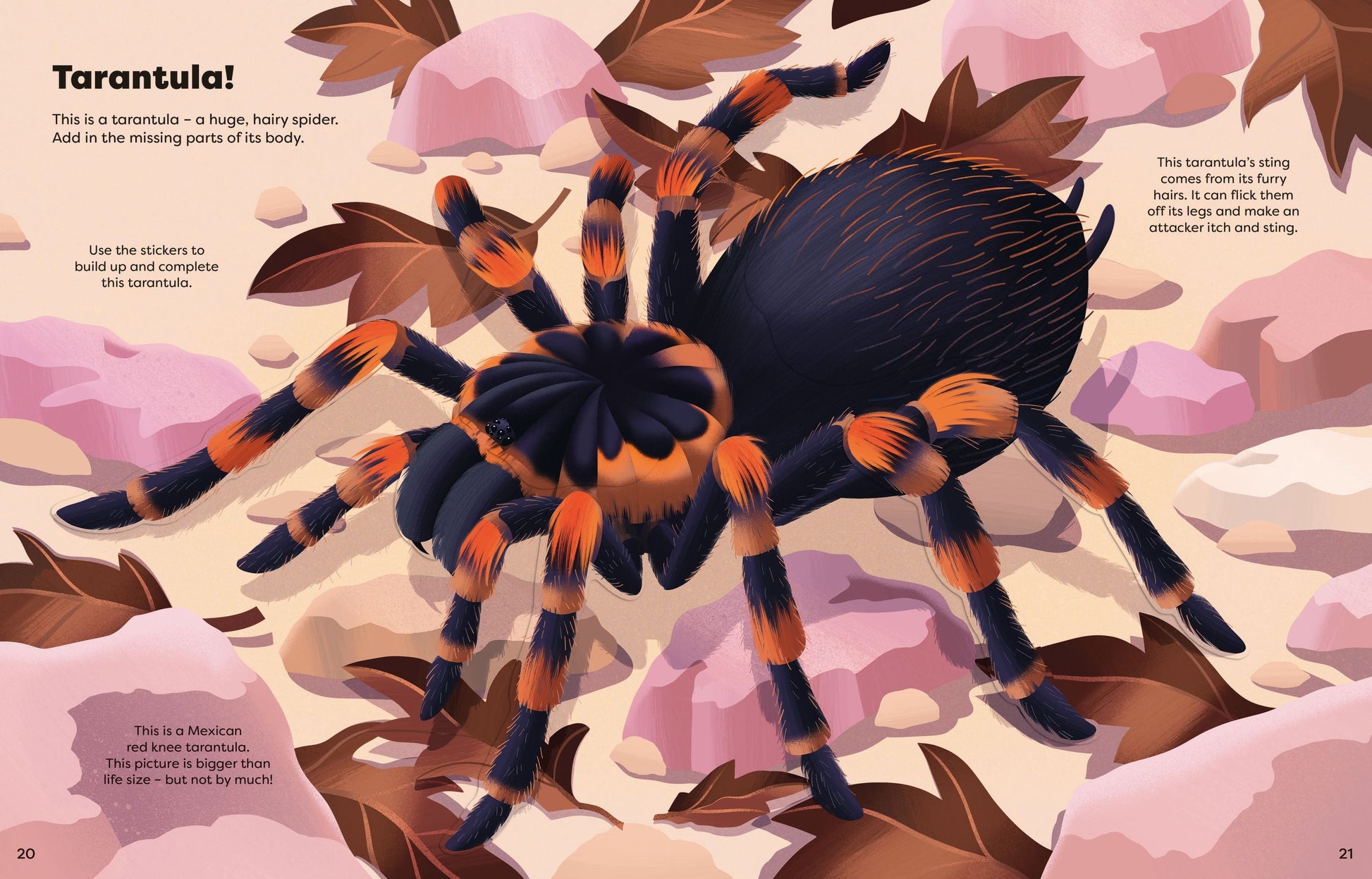 Usborne Big Sticker Book - Bugs