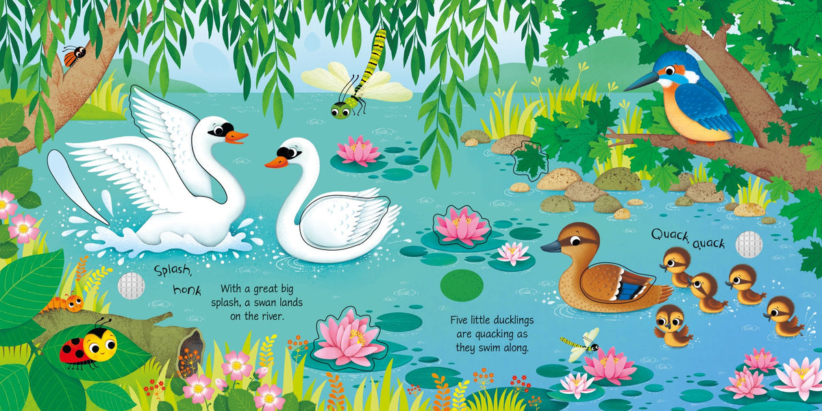 Usborne Sound Books - Bird Sounds