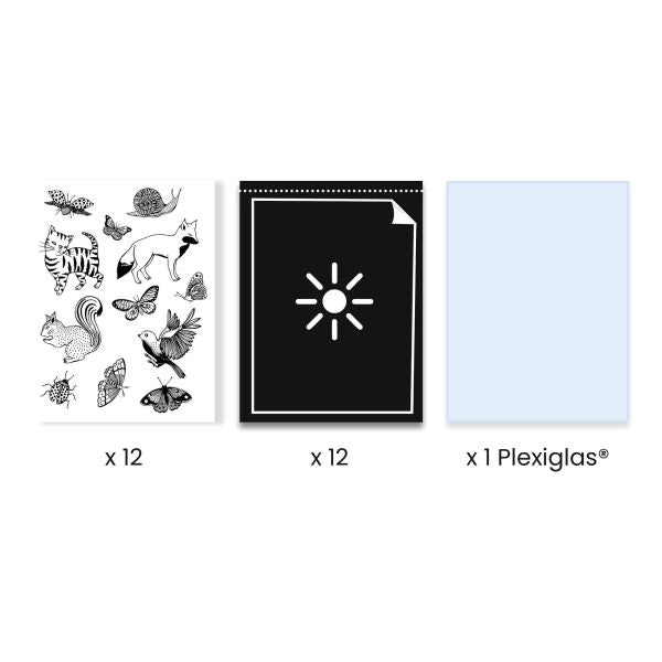 Djeco Cyanotype - Starter Kit
