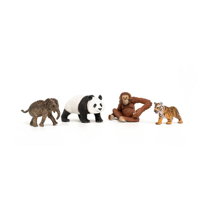 Schleich Wild Life Asia Starter Set 42736