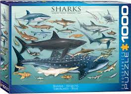 Eurographics 1000 Piece Puzzle - Sharks