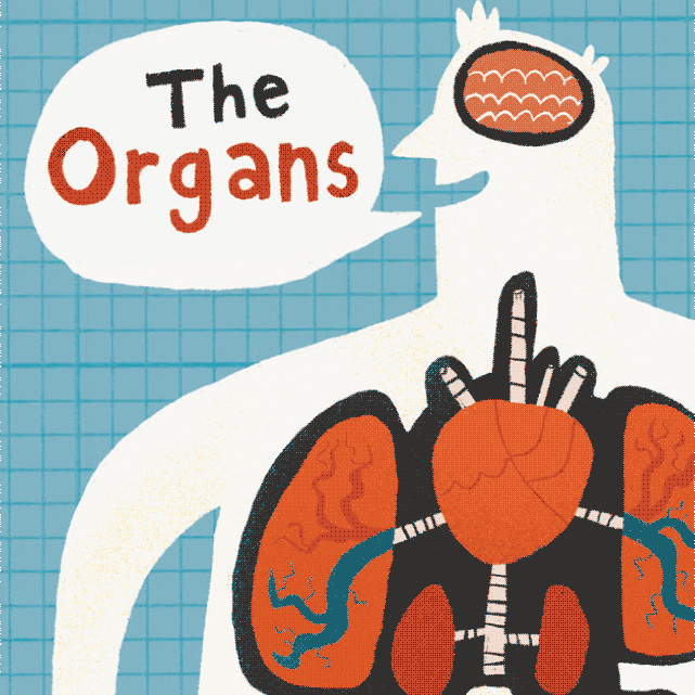 Yoto - BrainBots: The Human Body