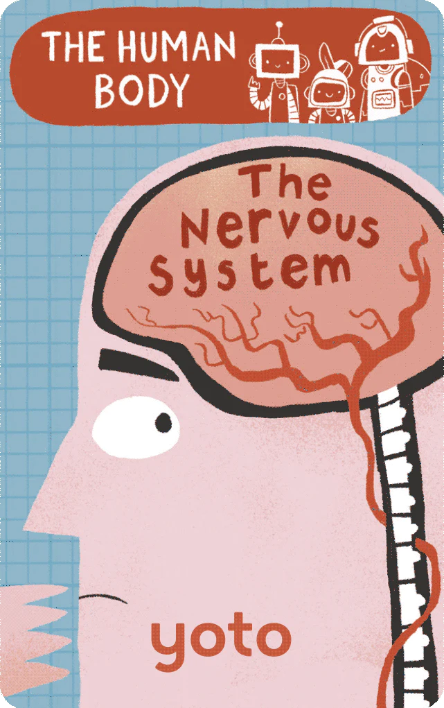 Yoto - BrainBots: The Human Body