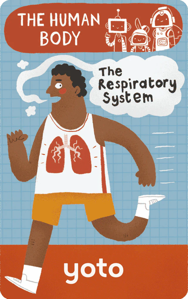 Yoto - BrainBots: The Human Body