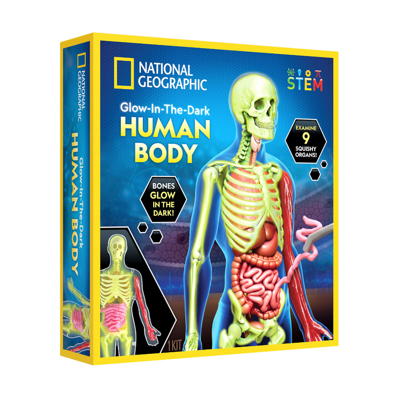 National Geographic Glow-in-the-Dark Human Body