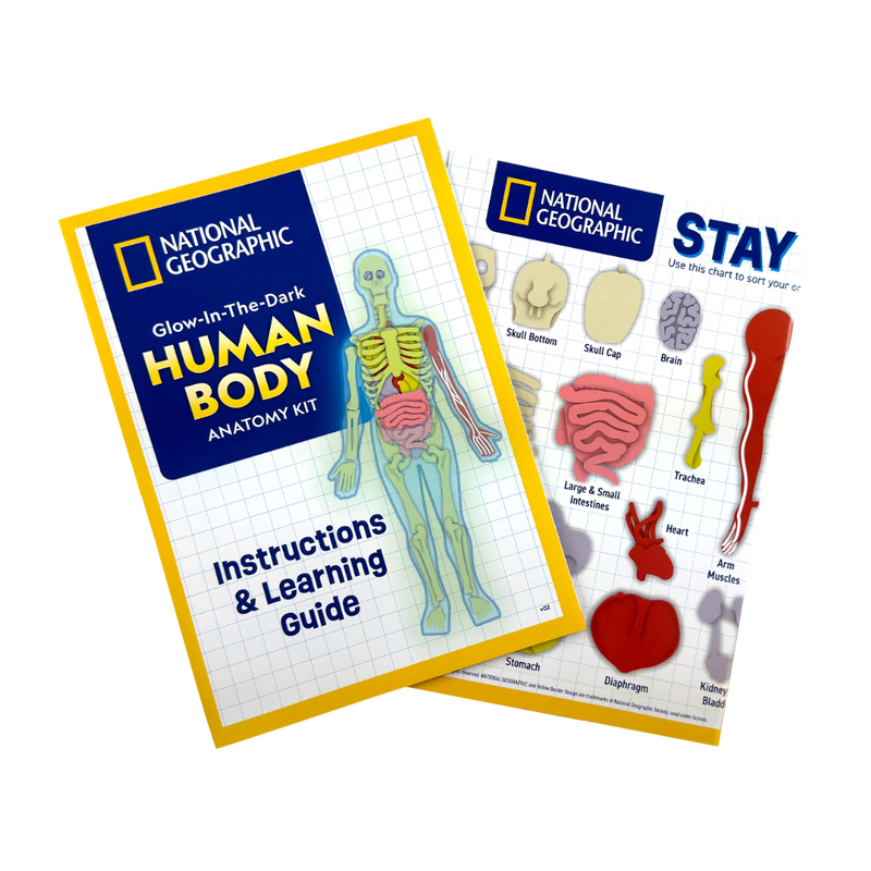 National Geographic Glow-in-the-Dark Human Body