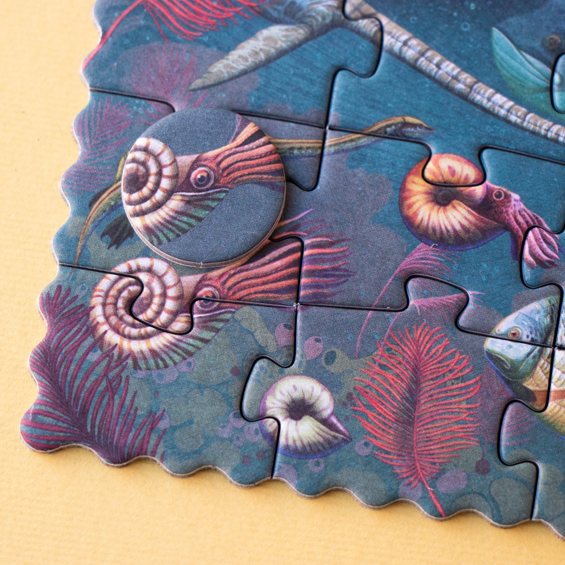 Londji Tiny 50pc Puzzle - Dinosaurs