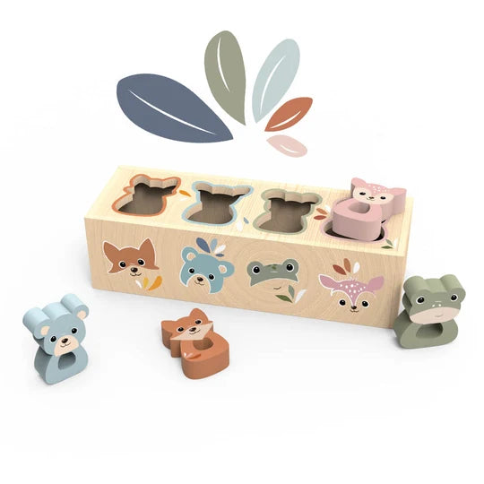 Animals Shape Box