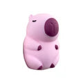 Chubby Capybara - Various Colours