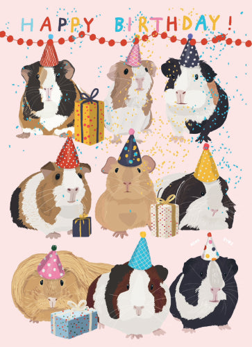Birthday Card Guineas
