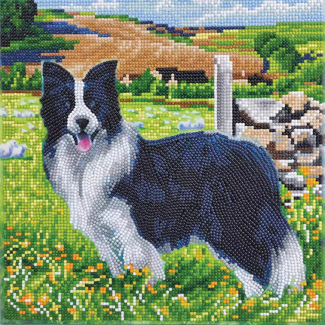 Crystal Art Mounted Kit (Med) - Pup in the Field