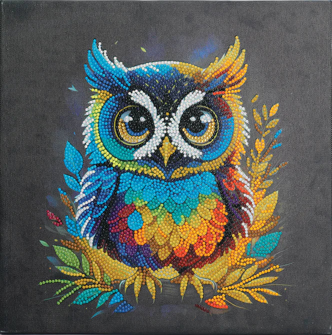 Crystal Art Mounted Kit (Med) - Owl