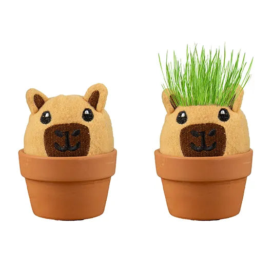 Capybara Grow Pal All-in-One Grass-Growing Kit
