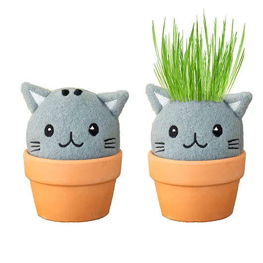 Cat Grow Pal Garden