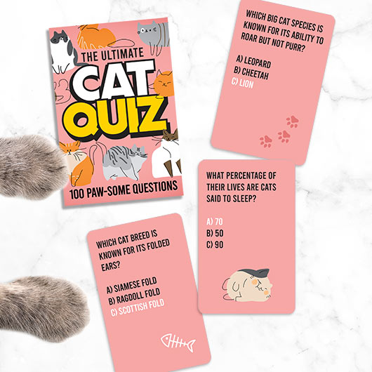 The Ultimate Cat Quiz  Game