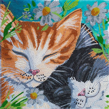 Crystal Art Mounted Kit (Med) - Sleepy Cats