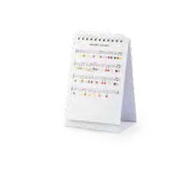 10" Large Tongue Drum 11 Tones - Puce & Pilou