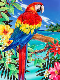 Paint By Number - Scarlet Macaw