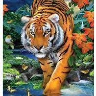 Paint By Number - On the Prowl