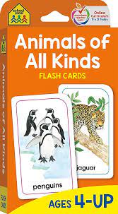 Flash Cards - Animals of all Kinds