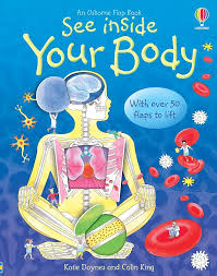 Usborne Lift-A-Flap - See Inside Your Body