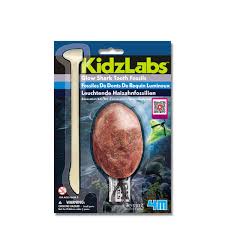 Glow Shark Tooth Fossil