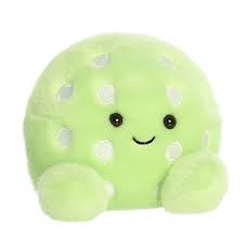 Palm Pals - Steve Pickleball