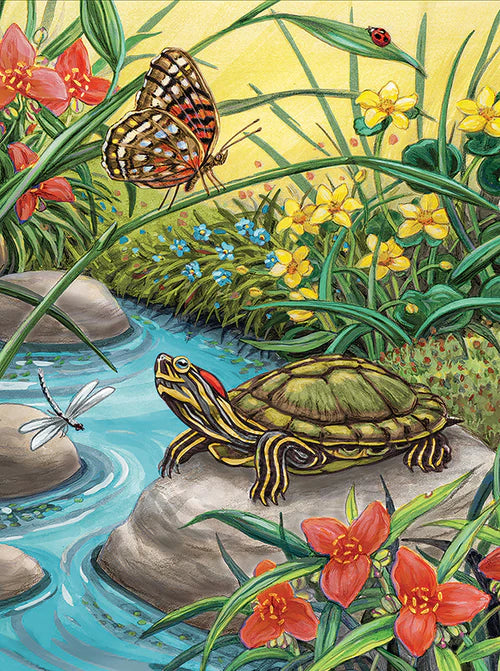 Paint By Number - Red Eared Slider