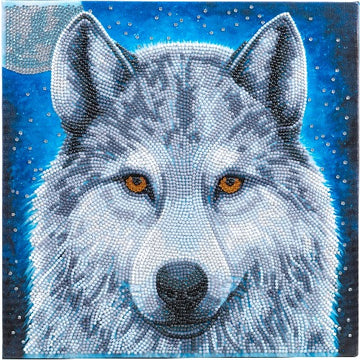 Crystal Art Mounted Kit (Med) - Moonlight Wolf