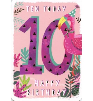 Birthday Card Ten Today - Flamingo