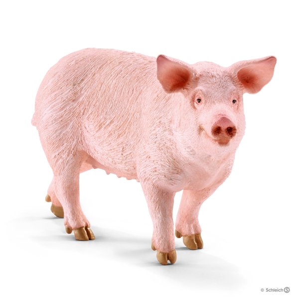 Schleich Pig 13782