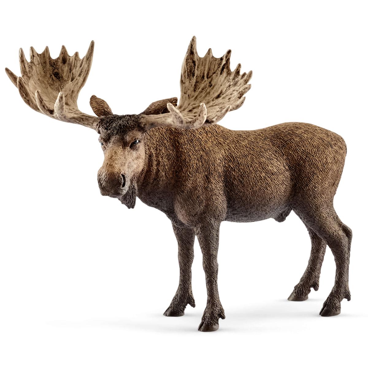 Schleich Moose Bull 14781