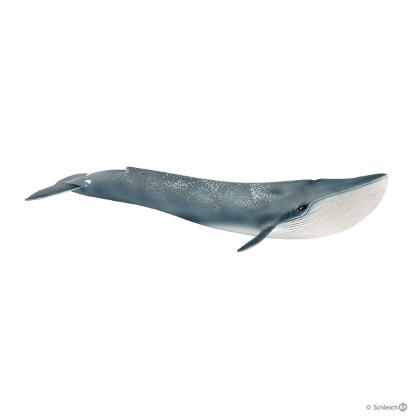 Schleich Blue Whale 14806