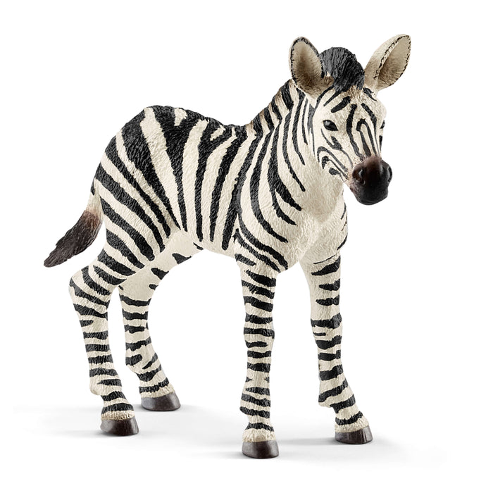 Schleich Zebra, foal 14811