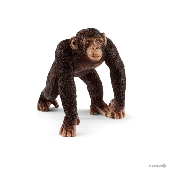 Schleich Chimpanzee male 14817